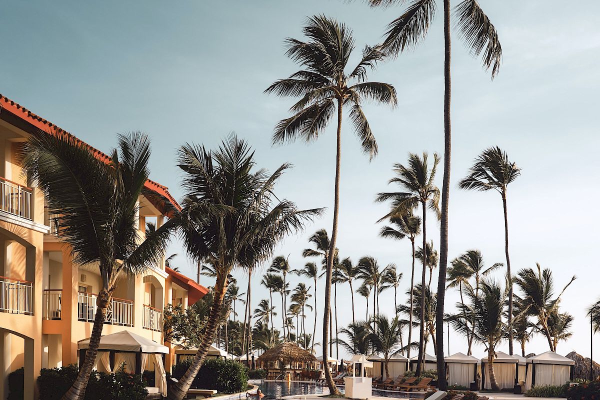 The image shows a tropical resort with a pool, lounge chairs, and tall palm trees under a blue sky.